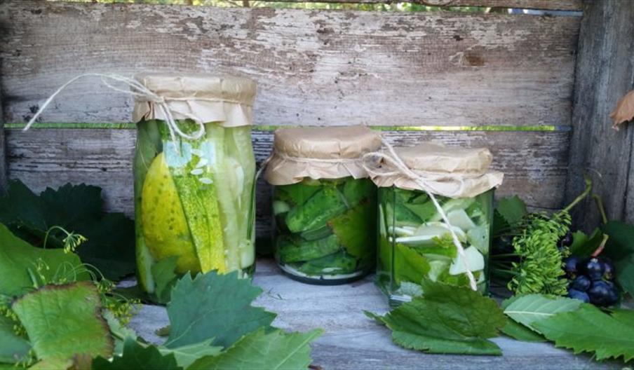 Foredraget tar utgangspunkt i hvordan frukt, bær og grønnsaker inngikk i husholdets livsnødvendige kretsløp mot slutten av 1800-tallet.