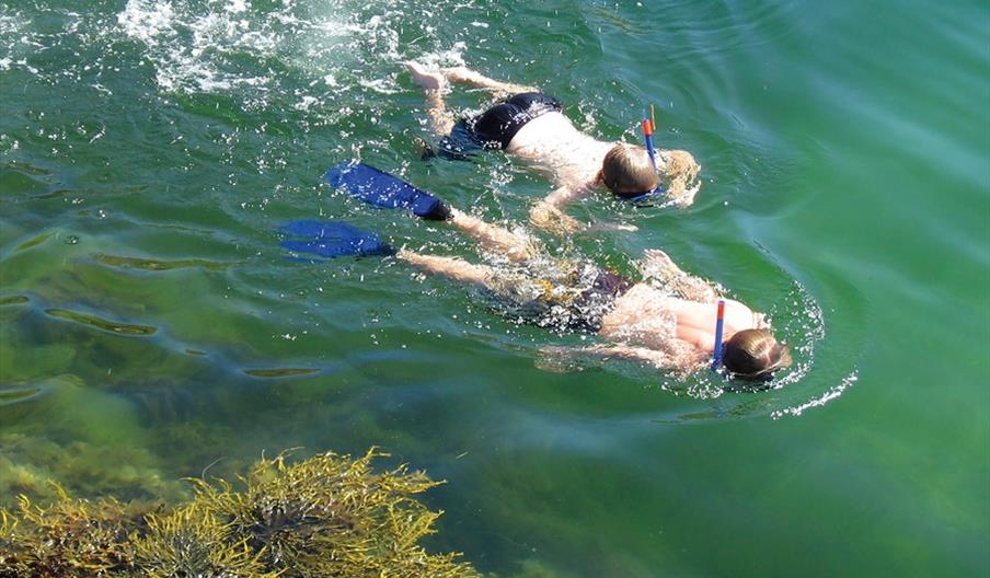 To barn som dykker med snorkler i vannet
