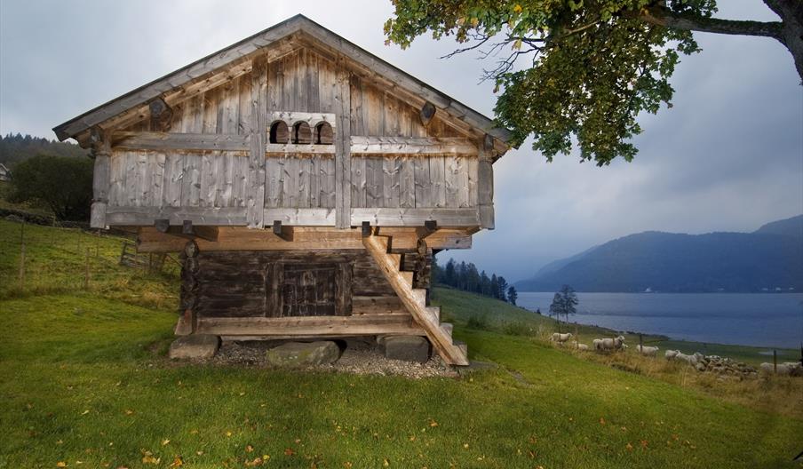 Skraddarburet