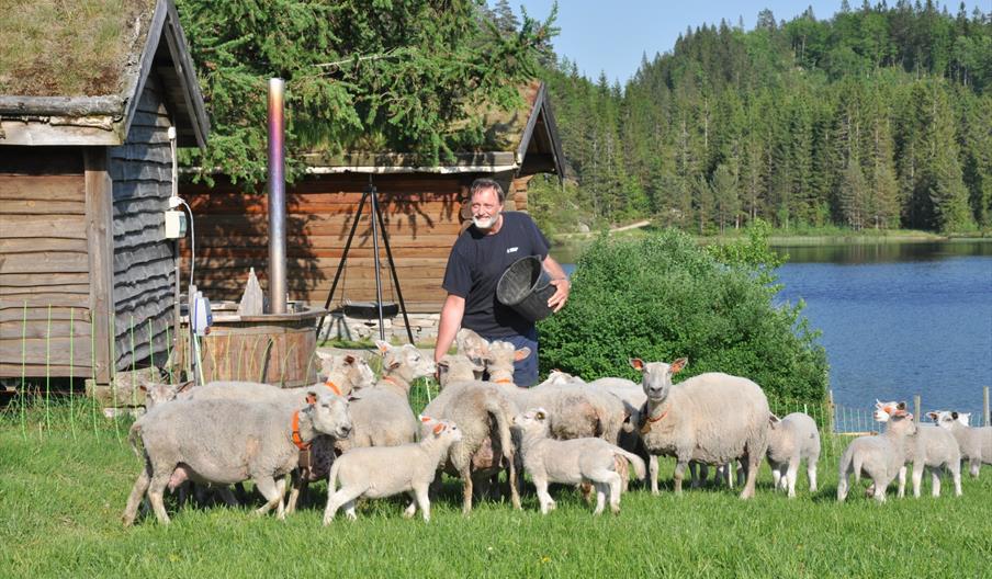 Beisland Gjestegård