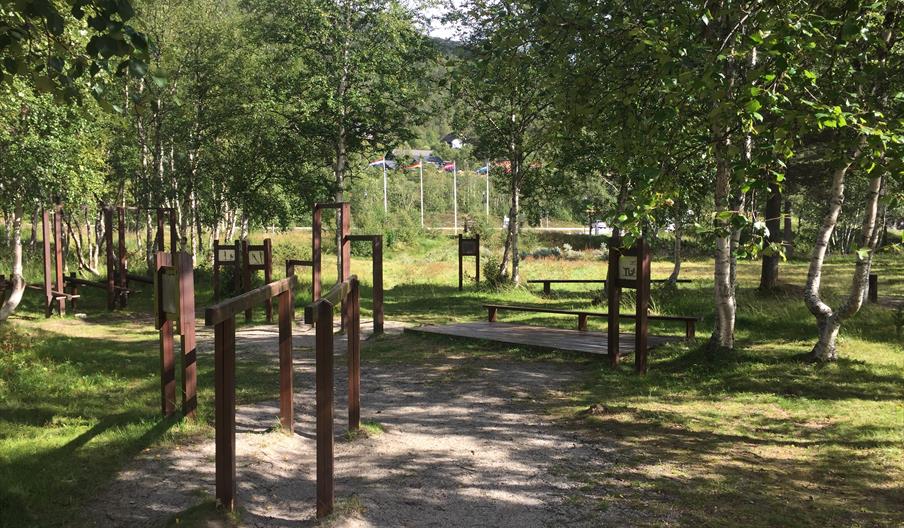 Vikingvegen og Hegni