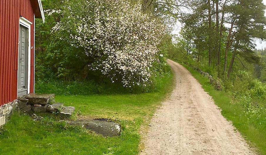 Vestlandske Hovedvei - ”Kongeveien”