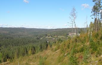 Allmannavegen - tur - retur 6,4 km