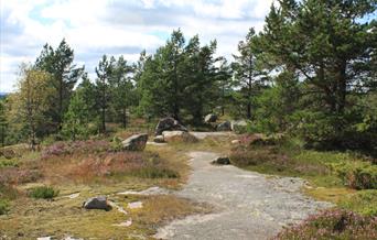 Blomliknuten