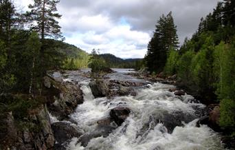 Frå Årdalen