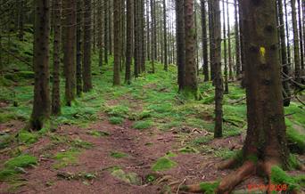 Kongeveien Hiking Tour