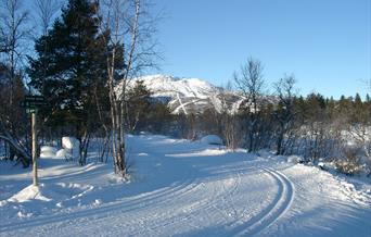Skispor på Hovden, bilde.