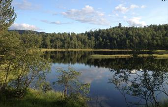 Bykle lysløype - rundtur 5,5 km