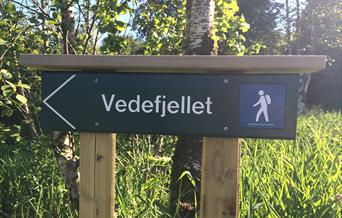 Vede mountain lyngdal