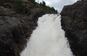 Homslia rundt