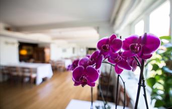 Risør Hotel foto