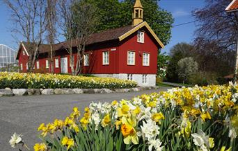 Dømmesmoen Grimstad