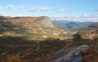 Vardefjell - rundtur 5-7 km