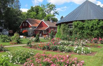 Naturmuseum og botanisk hage, Universitetet i Agder