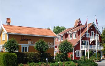 Topcamp Bie - Grimstad