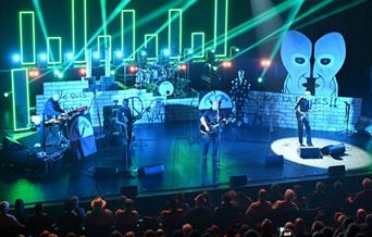 Delicate Diamonds // Pink Floyd Tribute