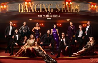 Dancing Stars by The Professionals
