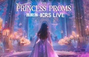 The Princess Concert