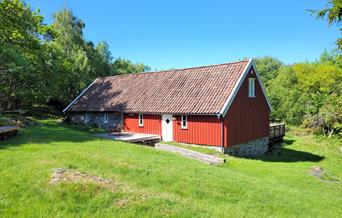 Dvergsløa på Dvergsøya
