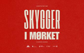 Skygger i mørket