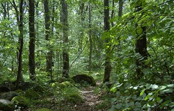 Skiftenes naturreservat