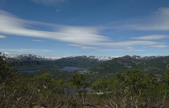 Søre Hartevassnuten - rundtur 6 km