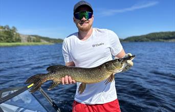 Predatorfiske fra båt på sørlandet