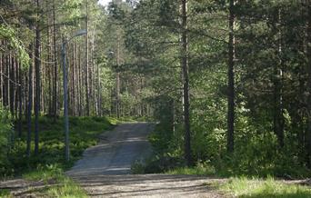 Evje lysløype - rundløype 8,6 km