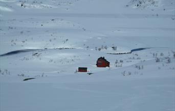 Taumevatn