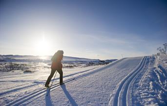 Langrenn på fjellet ved soloppgang, bilde