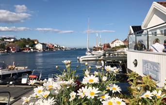 Pers brygge i bakgrunnen med blomster foran