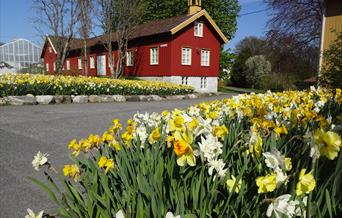 Dømmesmoen Ruslespor i Grimstad