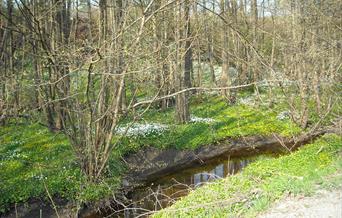Groosebekken vandrepark
