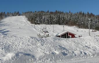 Vegårshei Ski og Aktivitetssenter