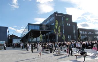 Universitetet i Agder