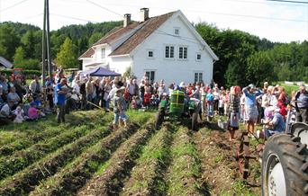 Birkenes Bygdemuseum Grasham