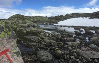Fottur på Hovden