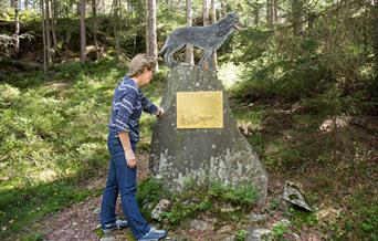 The Vegårshei wolf