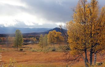 Bli med på tur(kveld).