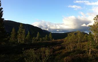 Uvedalsfjell - rundtur 5-7 km