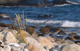 Boulder and pebble beach on Spornes, Tromøy island, outside of Arendal in Southern Norway, Peder Austrud.