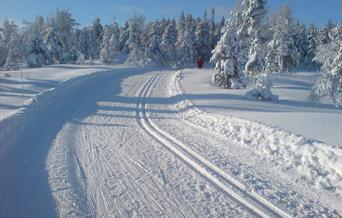 Øynaheia og Toplandsheia