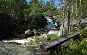 Rysstad Turpark - tur - retur 4 km