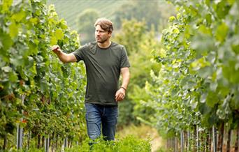Winemakers Dinner med Alexander Pflüger