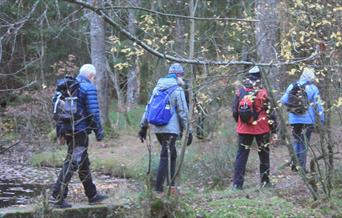 fire turgåere etter hverandre på en sti i skogen