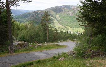 Tronåsen