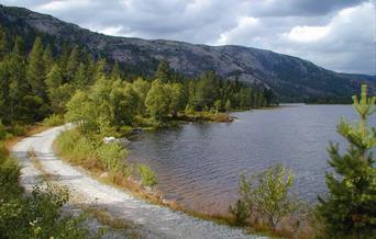 Ånebjør og Saurbu - tur/retur 16 km