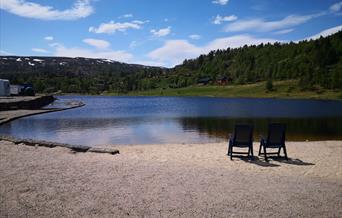 Bortelidtjønna