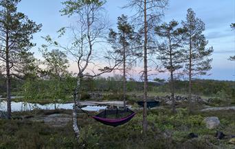 en rosa hengekøye hengende mellom 2 trær midt på bildet, og en svart litt lengre bak, en dame sitter ved vannet