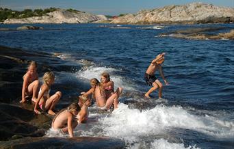 Saltviga på Justøy